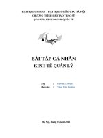 Bài tập cá nhân kinh tế quản lý (101) 