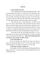 Quản trị hệ thống phân phối của công ty lioa tại khu vực miền trung (tt) 