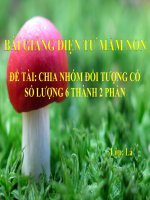 Bài giảng điện tử mầm non đề tài Chia nhóm đối tượng có số lượng 6 thành 2 phần (lớp Lá)