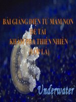 Bài giảng điện tử mầm non đề tài Khám phá thiên nhiên (lớp Lá)