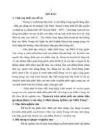 Quản trị kênh phân phối sản phẩm điện gia dụng honey’s của công ty điện quang tại khu vực miền trung (tt) 