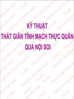KỸ THUẬT THẮT GIÃN TĨNH MẠCH THỰC QUẢN  QUA NỘI SOI