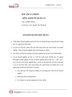 Bài tập cá nhân kinh tế quản lý (9) 