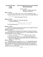 đề + đáp án thi vào 10 chuyên toán 2012 2013