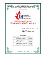 Nhóm 1 sáng thứ 4 BCTH rau qua