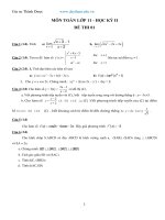 de kiem tra hoc ky 2 toan 11 