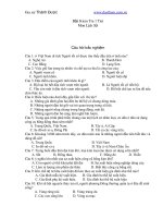 Kiểm tra lịch sử 10 học kì 1