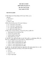 Bài tập hết môn kinh tế quản lý  (52)