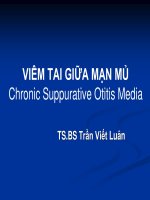 VTG man baigiang y5   dr luan 