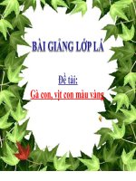 Bài giảng điện tử mầm non đề tài NBPB: Con gà con vịt màu vàng (lớp Lá)