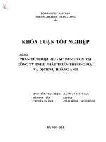 Phân tích hiệu quả sử dụng vốn tại công ty tnhh phát triển thương mại và dịch vụ hoàng anh (tt) 