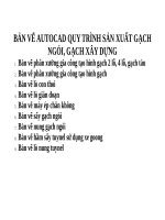 Bản vẽ autocad gia công tạo hình, nung sấy gạch ngói, gạch xây dựng