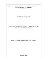 Nghiên cứu tính đa dạng thực vật khu rừng núi pha phanh, tỉnh thanh hóa 