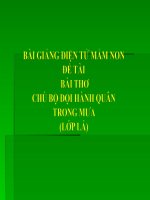 Bài giảng điện tử mầm non đề tài Bài thơ chú bộ đội hành quân trong mưa (lớp Lá)