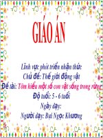 Giáo án chủ đề Tìm hiểu một số con vật sống trong rừng cho trẻ 5 6 tuổi