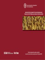 HỎI ĐÁP VỀ THỰC HÀNH TỐT VÀ AN TOÀN SINH HỌC TRONG CƠ SỞ ẤP TRỨNG GIA CẦM QUY MÔ VỪA VÀ NHỎ