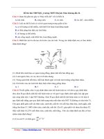 Bộ 100 đề thi thử có đáp án chi tiết môn sinh học