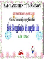 Bài giảng điện tử mầm non đề tài Bé ứng phó với một số hiện tượng tự nhiên (lớp Lá)