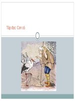 Giáo án điện tử lớp 3  TD con co 