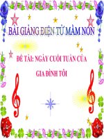 Bài giảng điện tử mầm non đề tài Ngày cuối tuần của gia đình tôi (lớp Lá)