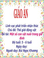 Giáo án điện tử Một số con vật nuôi trong gia đình chủ đề Thế giới động vật