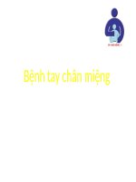 BÀI GIẢNG Bệnh tay chân miệng