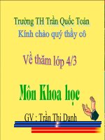 Bài giảng khoa học lớp 3 phòng tránh tai nạn đuối nước 