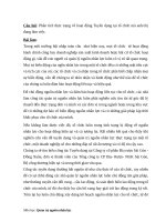 công tác tuyển dụng tại công ty cổ phần bia rượu sài gòn   đồng xuân 