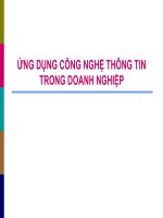Ứng dụng Công nghệ thông tin trong Daonh Nghiệp ( Thương mạị điện tử )