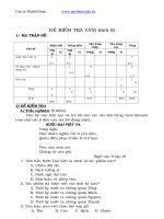 Kiểm tra 1 tiết ngữ văn 8 tiết 113