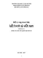 Đề cương môn luật hình sự VN1   3TC 