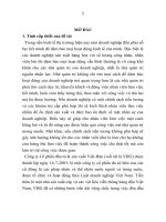 Xây dựng chính sách tiền lương cho công ty cổ phần đầu tư và sản xuất việt hàn (tt) 