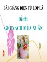 Bài giảng điện tử mầm non đề tài Giỏ sách mùa xuân (lớp Lá)