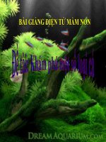 Bài giảng điện tử mầm non đề tài Khám phá một số loại cá (lớp Lá)