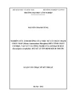 Nghiên cứu ảnh hưởng của việc xử lý chất chậm cháy map (mono amonium phosphate) đến tính chất cơ học, vật lý và công nghệ của gỗ bạch đàn (eucalyptus urophylla) đã xử lý ổn định kích thước 