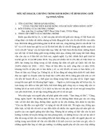 MẪU kế HOẠCH xóa bỏ bất bình đẳng giới 