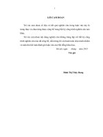 Nghiên cứu chuỗi giá trị rau an toàn huyện phúc thọ   thành phố hà nội 