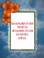 Bài giảng điện tử mầm non đề tài : Vẽ cảnh sau cơn mưa (lớp Lá)