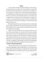 Thực trạng đào tạo và phát triển nguồn nhân lực tại ngân hàng VIB 