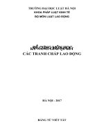 đề cương môn học kỹ năng giải quyết các tranh chấp lao động 