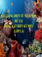 Bài giảng điện tử mầm non đề tài Động vật biển kỳ diệu (lớp Lá)