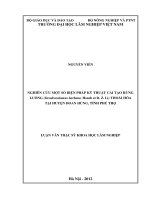 Nghiên cứu một số biện pháp kỹ thuật cải tạo rừng luồng (dendrocalamus barbatus hsueh et d  z li) thoái hóa tại huyện đoan hùng, tỉnh phú thọ 