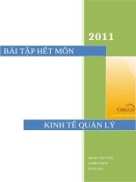 Bài tập cá nhân kinh tế quản lý (235) 