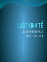luật kinh tế, doanh nghiệp tư nhân, công ty hợp danh 
