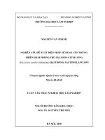 Nghiên cứu đề xuất biện pháp sử dụng côn trùng thiên địch phòng trừ sâu róm 4 túm lông (dasychira axutha collenttet) hại thông tại tỉnh lạng sơn 