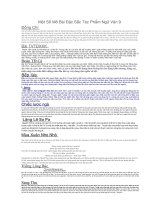 Một số mở bài đặc sắc tác phẩm ngữ văn 9