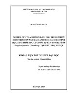 Nghiên cứu thành phần loài côn trùng thiên địch trên cây ngô lai và một số đặc điểm sinh học, sinh thái học của loài bọ rùa đỏ nhật bản propylea japonica (thunberg) tại phúc thọ, hà nội  