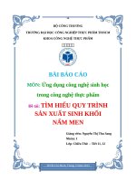 tìm hiểu quy trình sản xuất sinh khối nấm men 