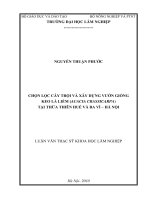 Chọn lọc cây trội và xây dựng vườn giống keo lá liềm (acacia crassicarpa) tại thừa thiên huế và ba vì   hà nội 