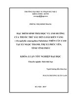 Đặc điểm sinh thái học và ảnh hưởng của thuốc trừ sâu đến loài kiến vàng (oecophylla smaragdina fabricius) trên cây cam tại xã ngọc thanh, thị xã phúc yên, tỉnh vĩnh phúc  